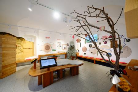 otvoritev grad Podsreda, 26.3.2025_Izidor Kotnik (2)